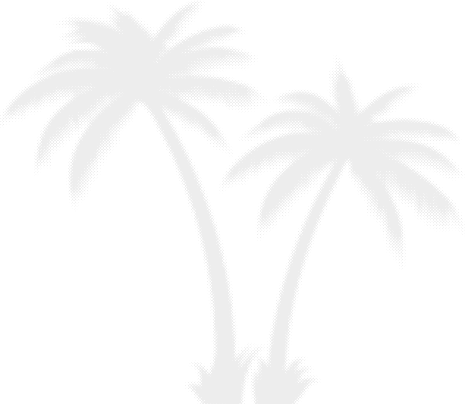 palm tree