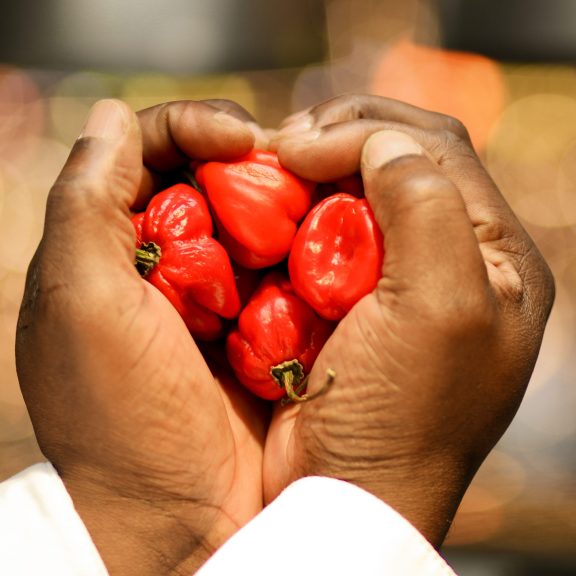 Chilli Heart Colin Chef Sq